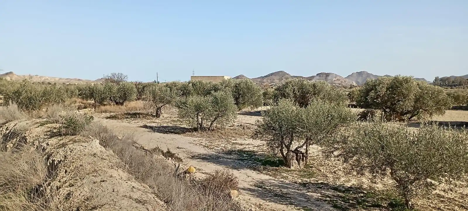 Maison avec jardin à vendre à Mojácar Pueblo, imagen 41
