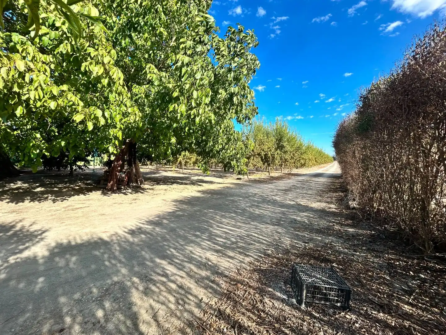 Terrains et parcelles à vendre à Fuente Vaqueros, imagen 9