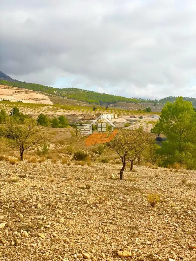 Terreny residencial en venda a Vélez-Rubio, imagen 10