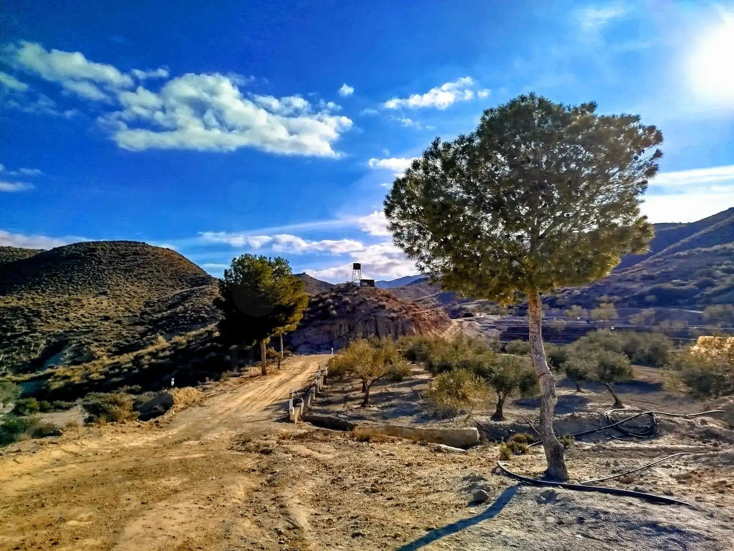 Casa con piscina en venta en Tabernas, imagen 35