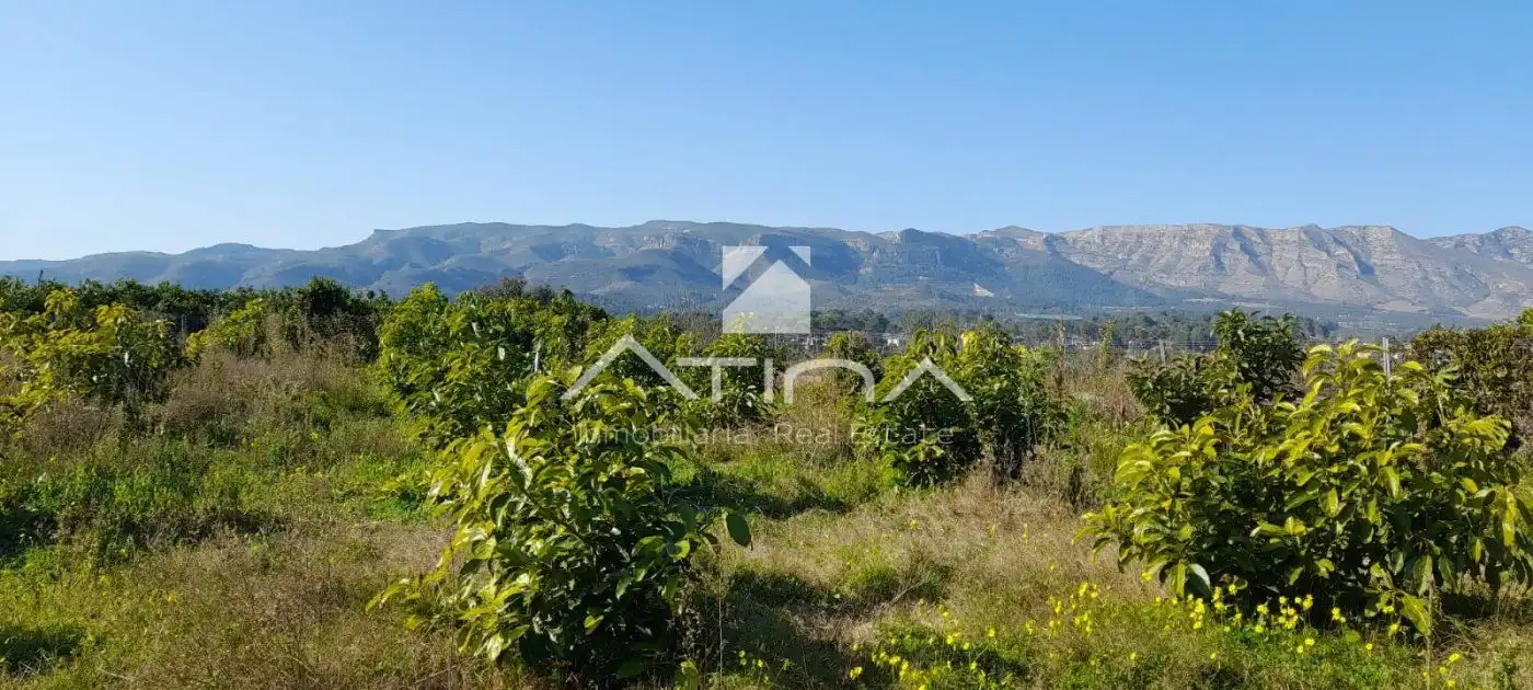Xalet en venda a Palma de Gandia, imagen 2