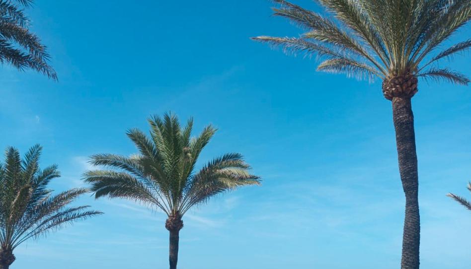 Photo 1 of Flat for sale in Camí de Les Meravelles, 2, Les Maravelles, Illes Balears