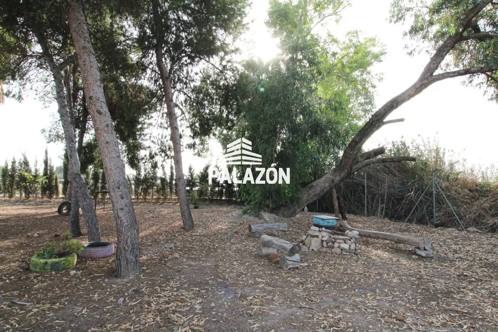 Terreno rustico in vendita a Crevillent, imagen 6