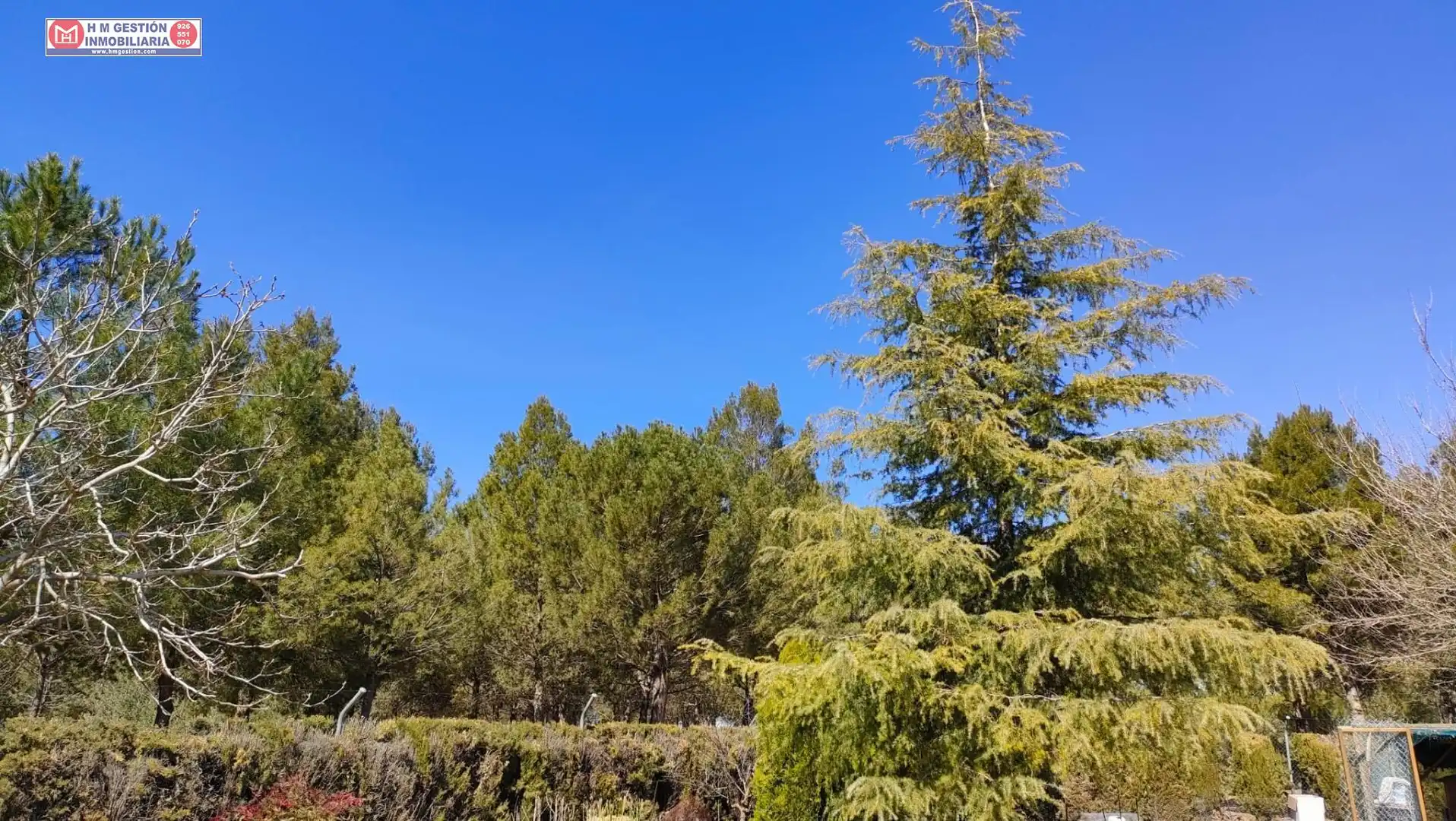 Chalet con piscina en venta en Alcázar de San Juan, imagen 18