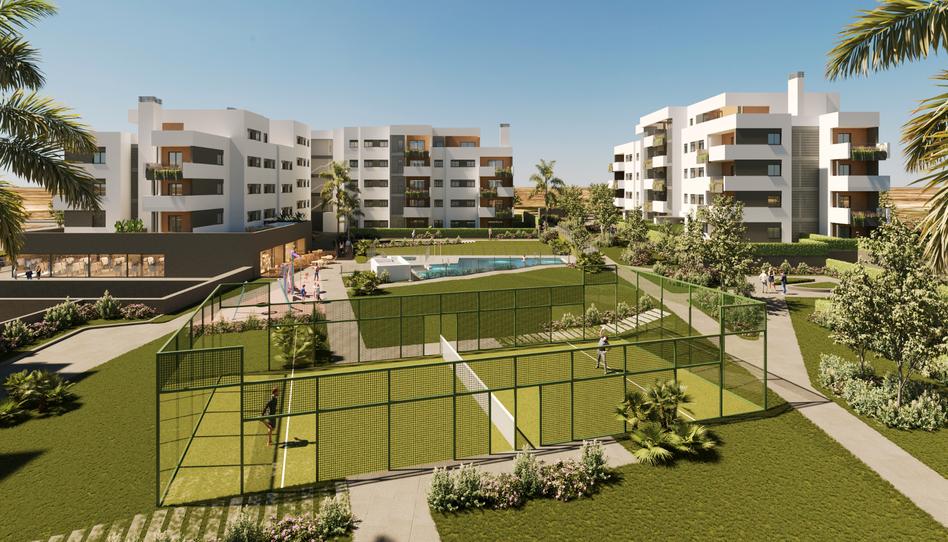 Photo 0 of Promotion PINEA PUERTO