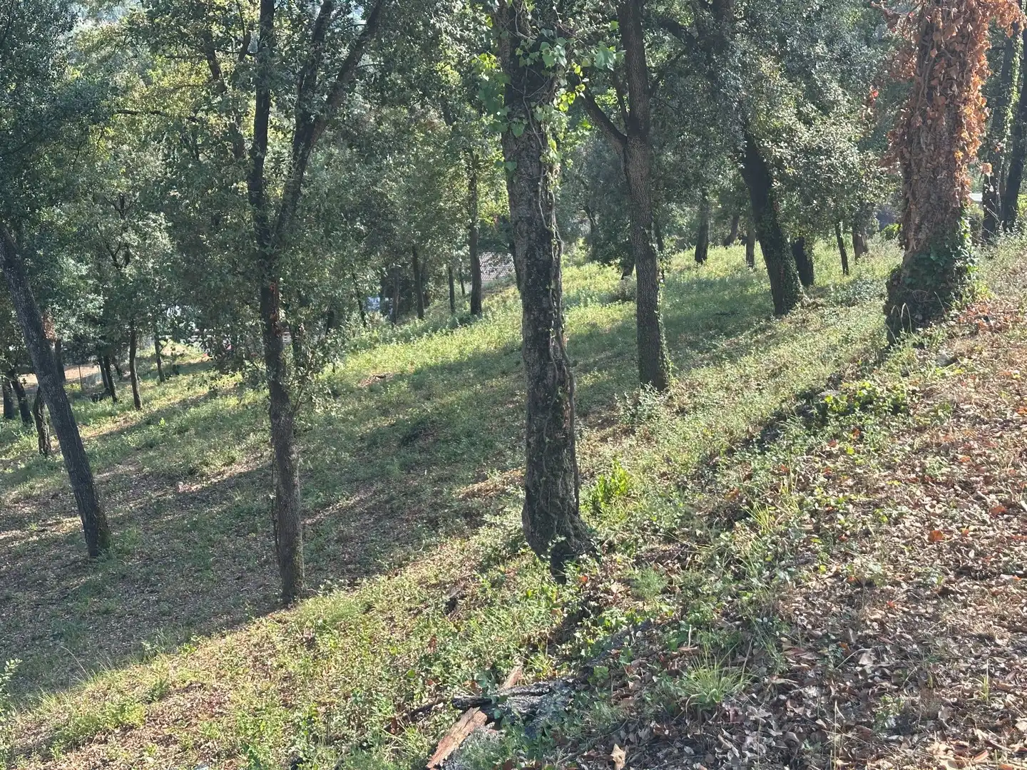 Residencial en venta en Santa Maria de Palautordera