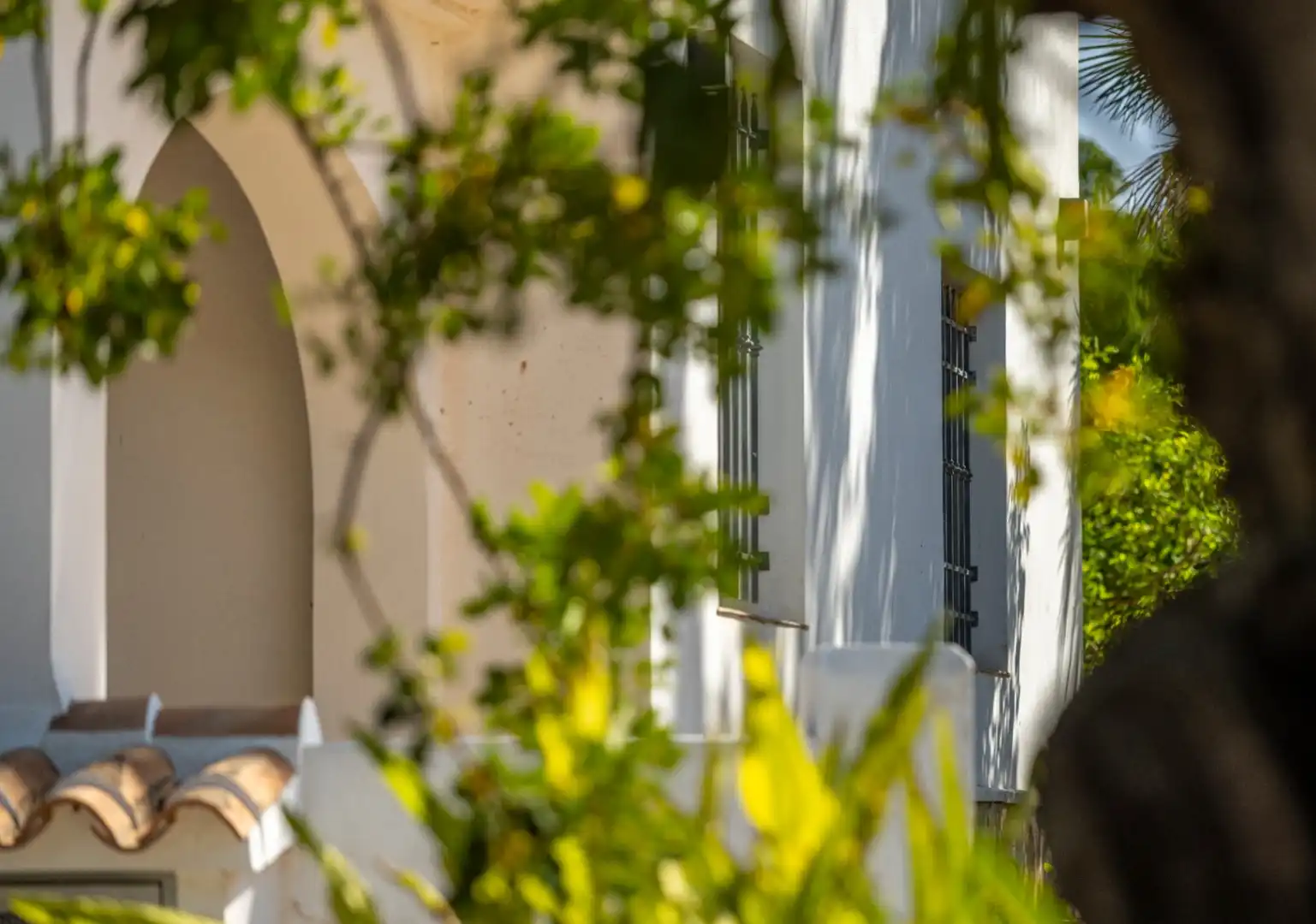 Vista exterior de Finca rústica en venda en Dénia amb Aire condicionat, Calefacció i Jardí privat