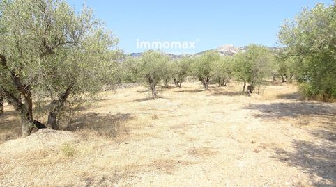 Finca rústica en venta en Xerta, immagine 4