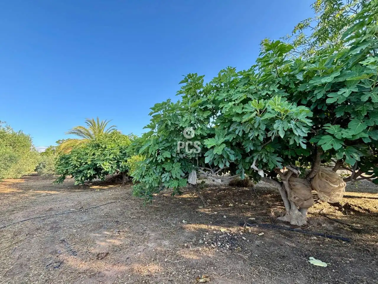 Villa avec jardin à vendre à Travesia Zona Llano de las Cabras S/N, imagen 9