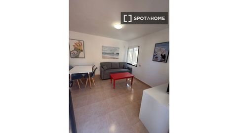 Foto 4 de Habitació a Corralejo, La Oliva