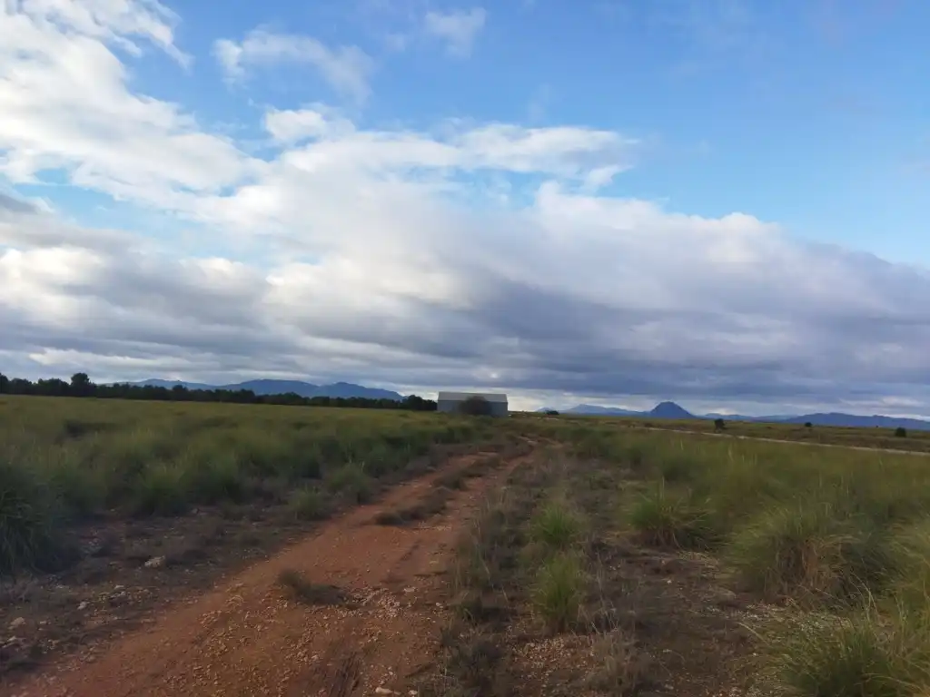 Rustikales Grundstück zum Verkauf in Lg Paraje Venta del Olivo, imagen 8