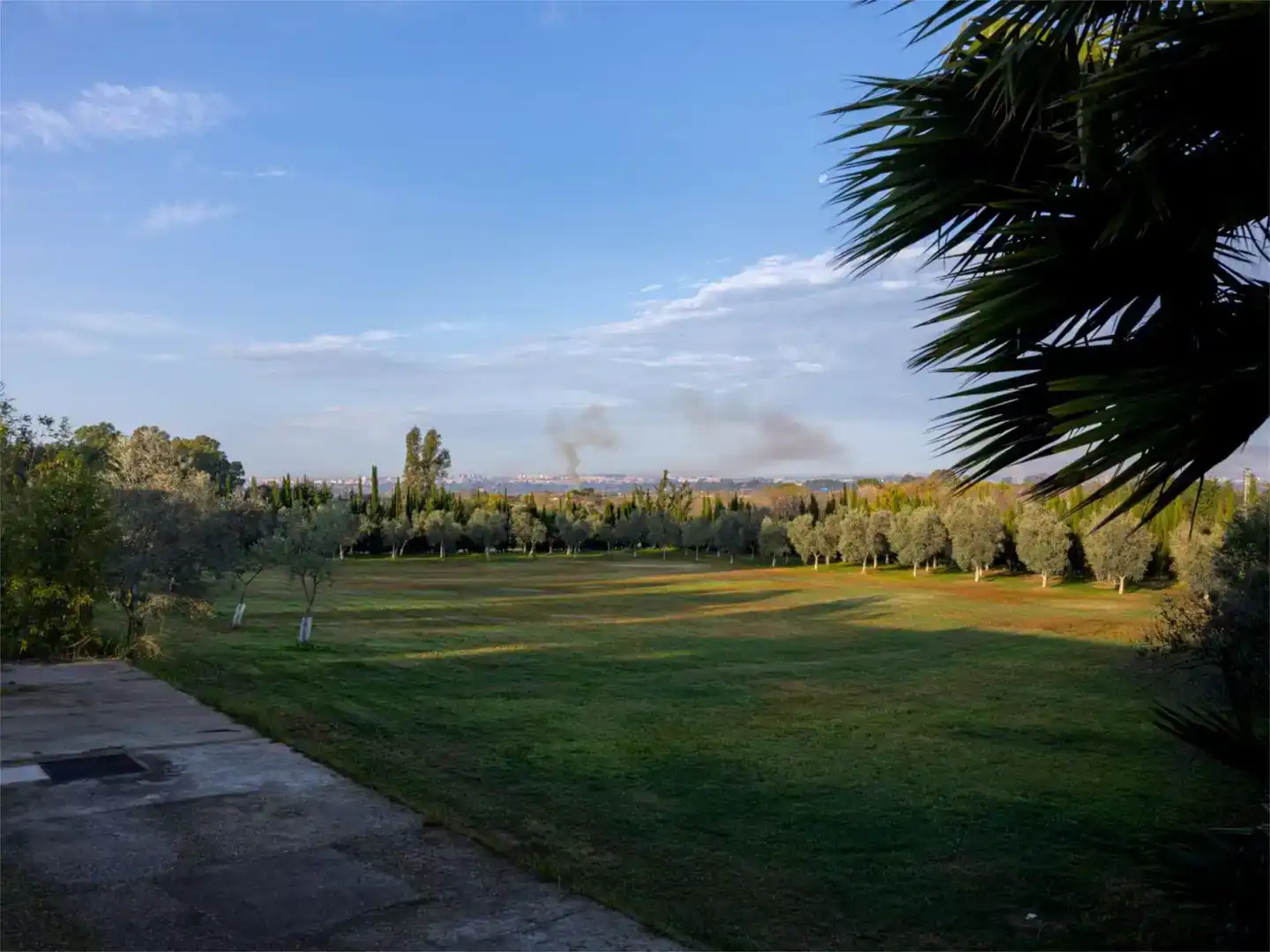 Jardí de Finca rústica en venda en Jerez de la Frontera amb Jardí privat
