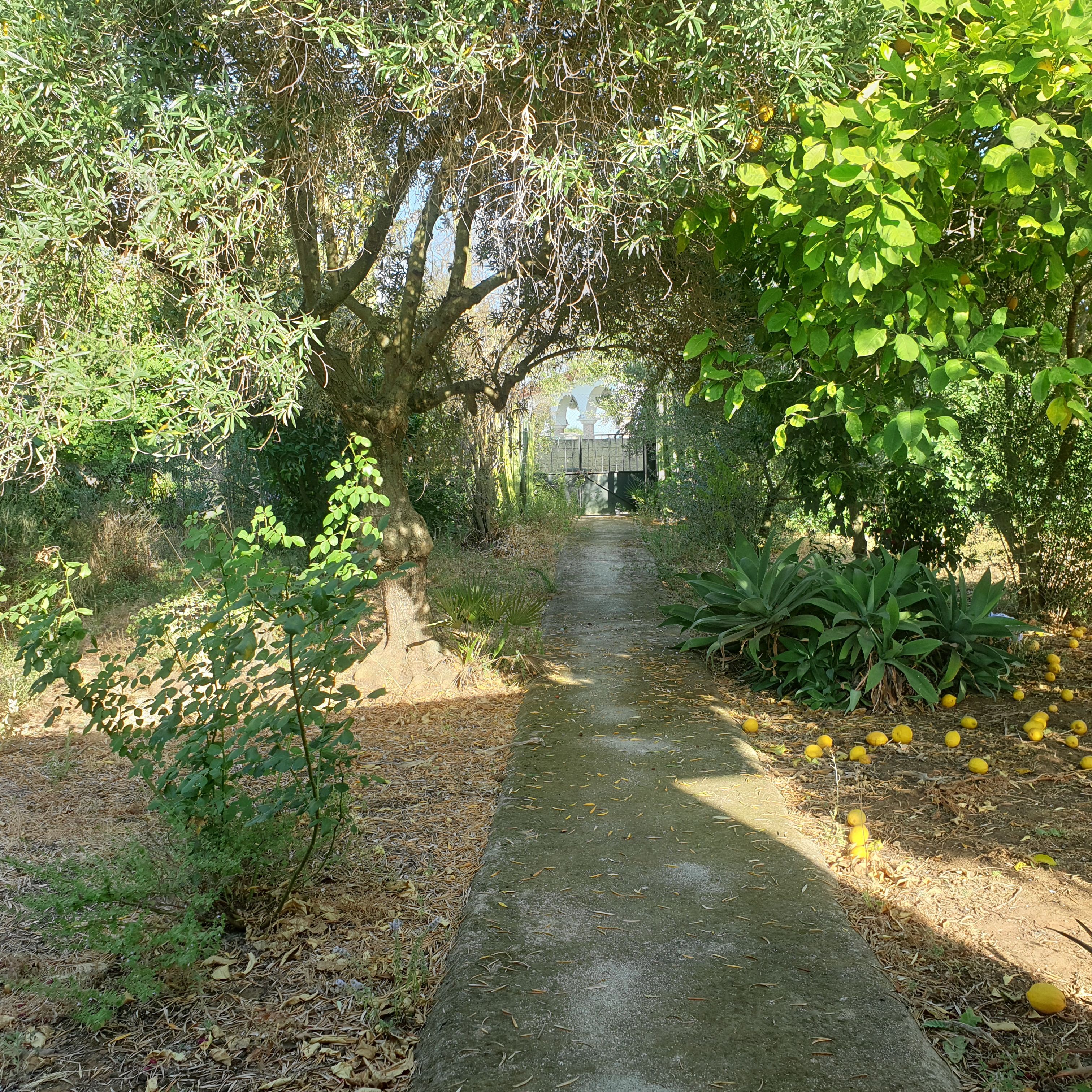 Country house for sale