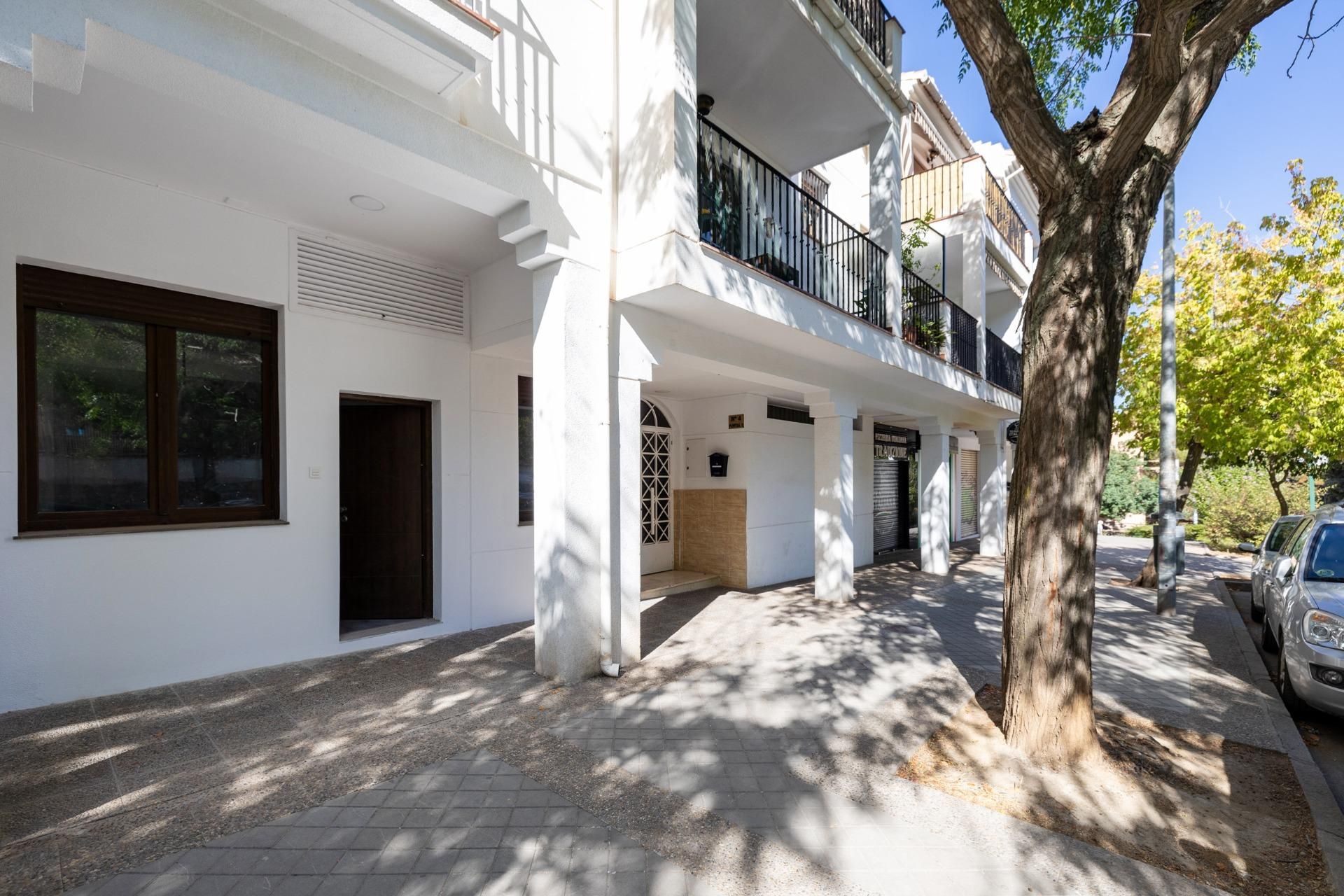 Exterior view of Flat for sale in  Granada Capital