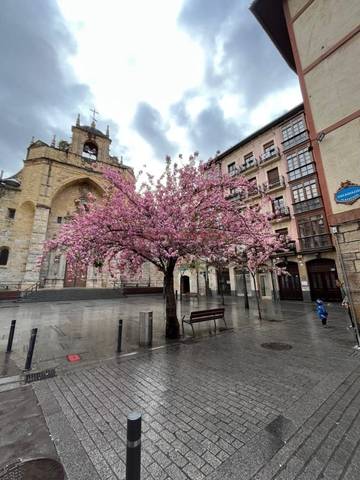 Local comercial en Alquiler en Encarnacion Plaza en Atxuri
