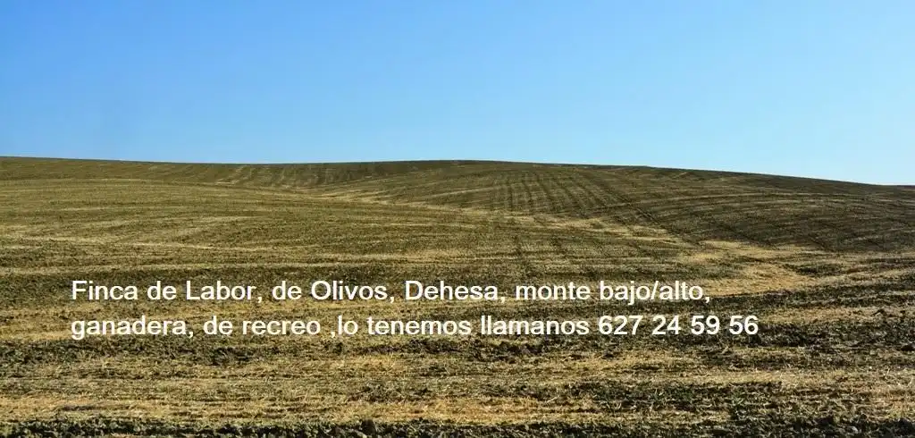 Terreni e lotti in vendita a San Roque - Ronda Norte, imagen 7