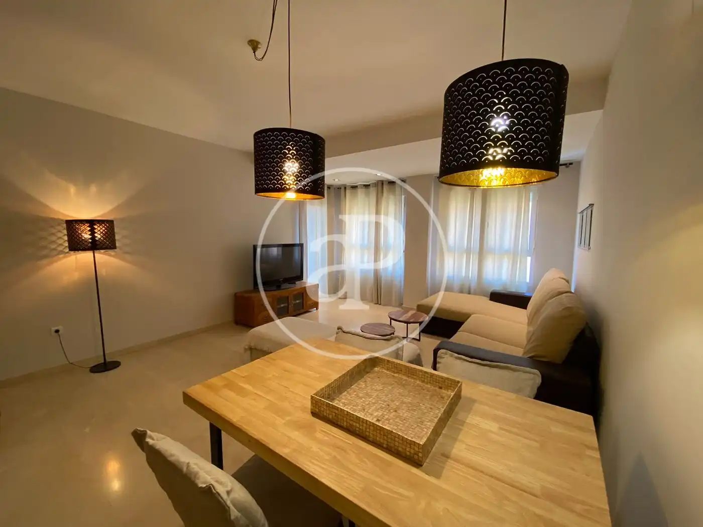 Sala de estar de Piso de alquiler en Valencia con Aire acondicionado, Calefacción y Jardín privado