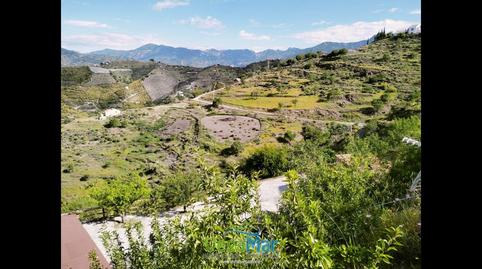 Foto 4 de Finca rústica en venda a Rambla Caballero, Velilla - Velilla Taramay, Granada