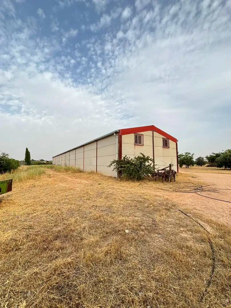 Nave industrielle à vendre à Valdepeñas, imagen 3