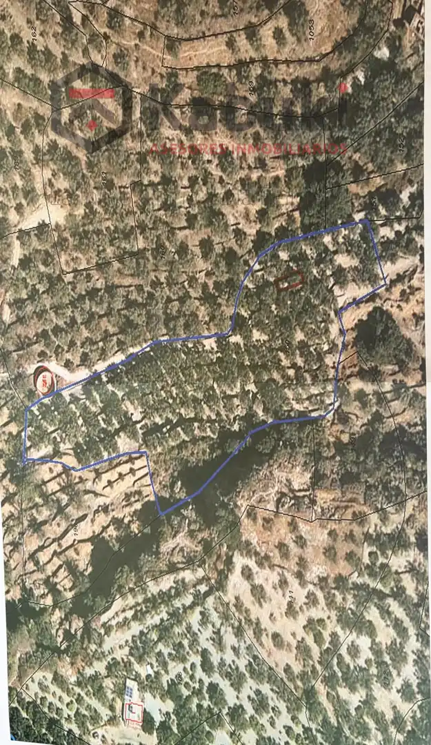 Terreno rustico in vendita a Pinar El - Pantano de Beznar, imagen 16