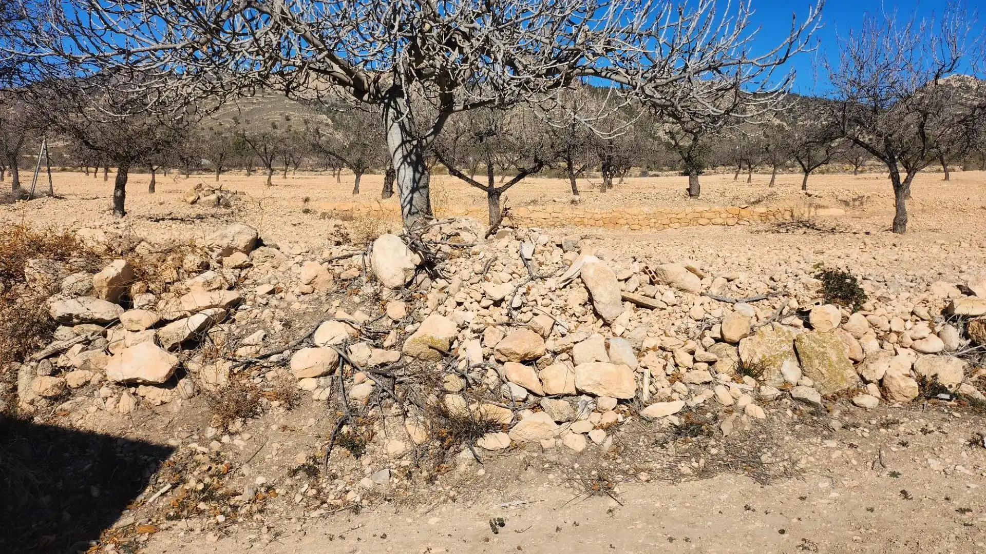 Country house for sale in Jumilla, imagen 5