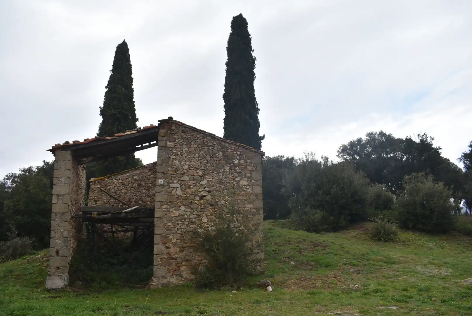 Landhaus zum Verkauf in Sant Feliu de Buixalleu, imagen 4
