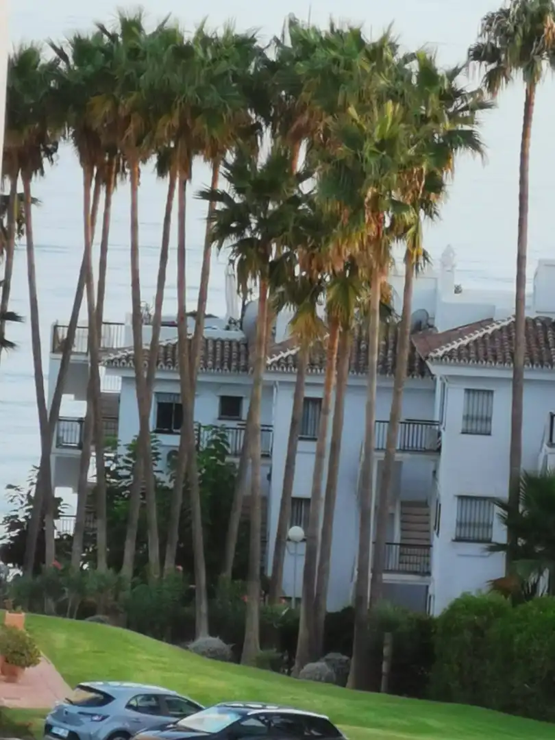 Exterior view of Flat for sale in Mijas  with Storage room, Furnished and Oven
