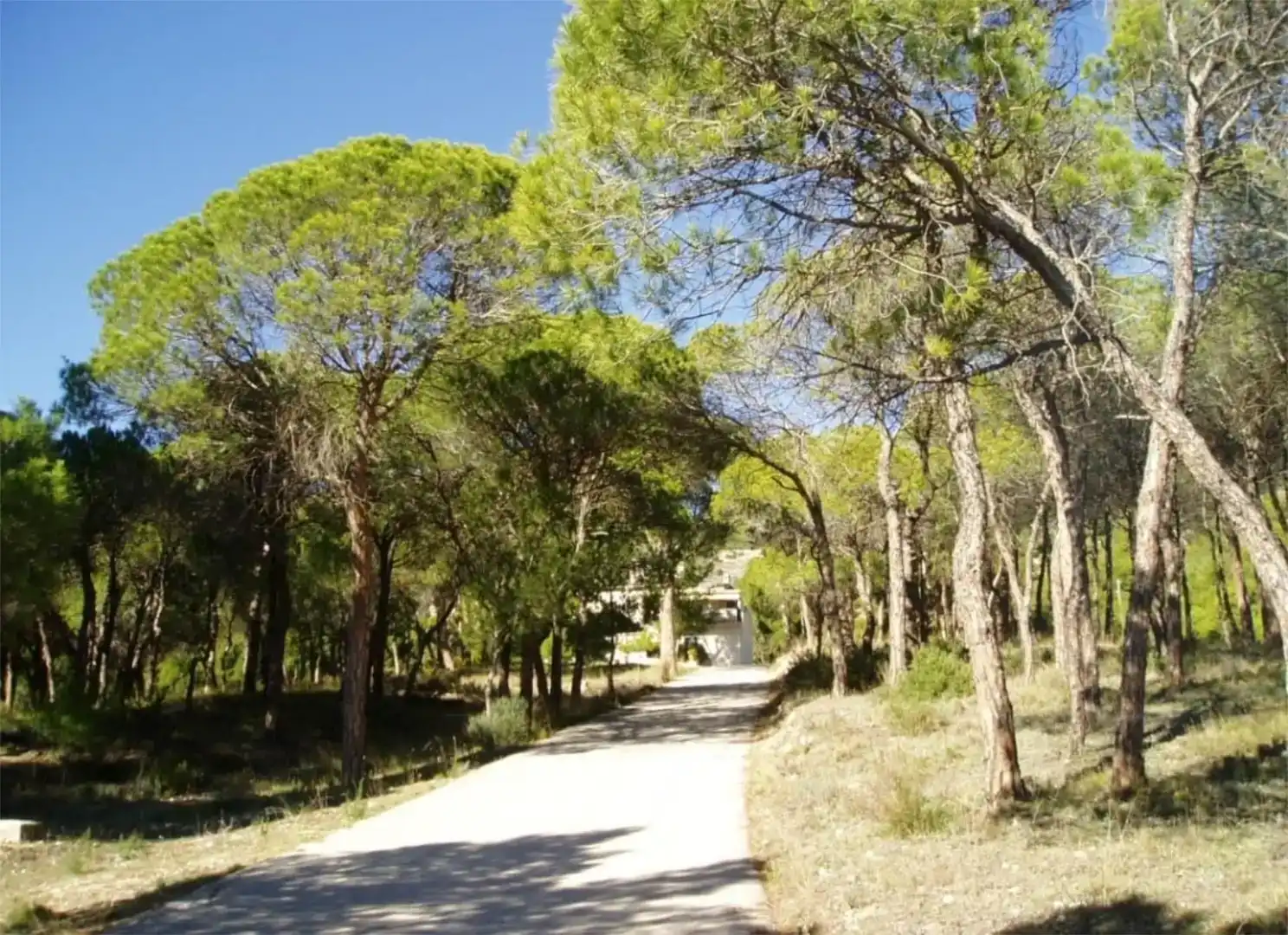 Vista exterior de Finca rústica en venda en Onil amb Piscina i Balcó