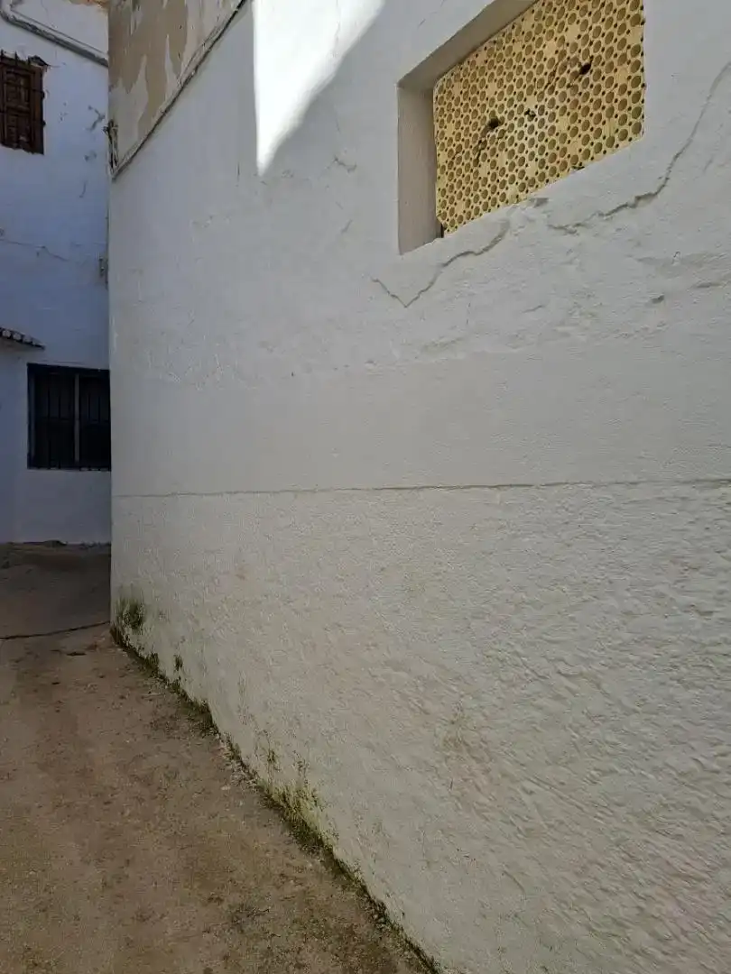 Vista exterior de Planta baja en venta en Alhama de Granada