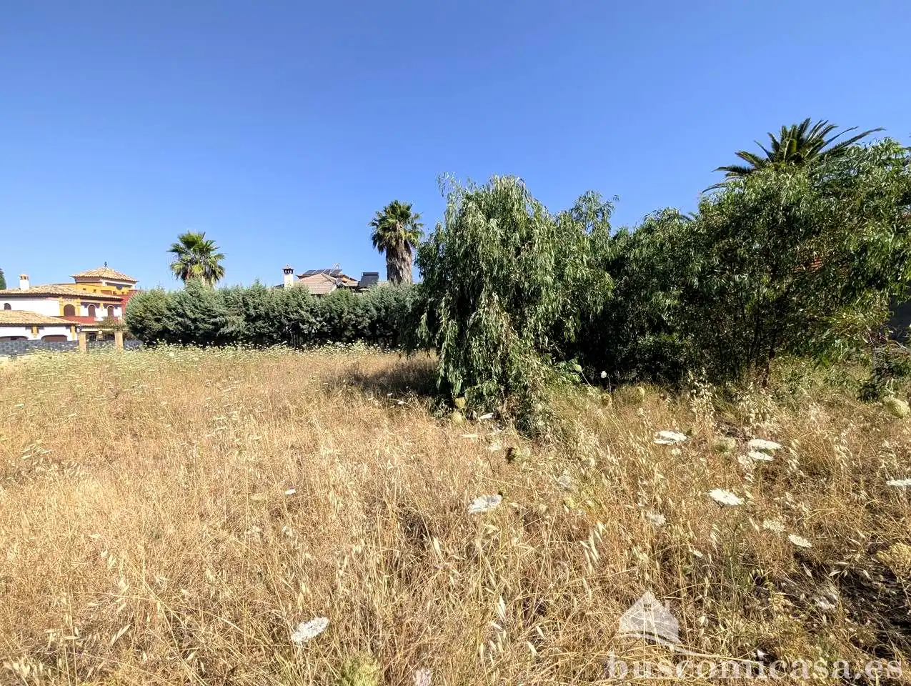 Terreni e lotti in vendita a Alamillos, imagen 7