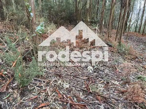 Casa o chalet en venta en Arbo