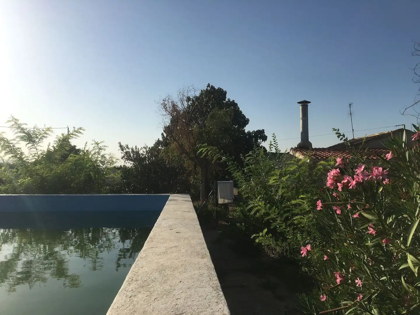 Swimming pool of Houses for sale in Yecla