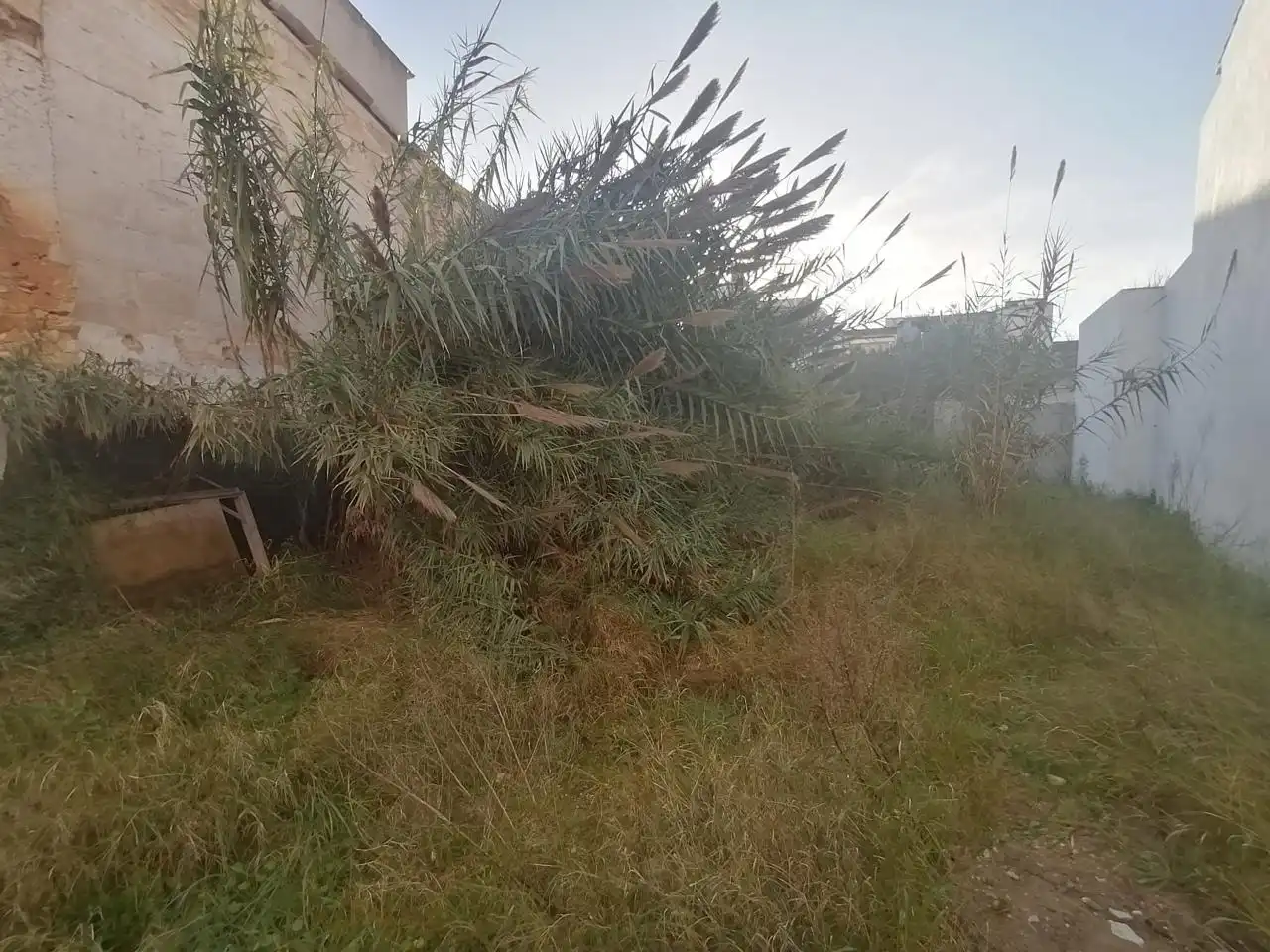 Terreny residencial en venda a Carrer de sa Gerreria, imagen 6