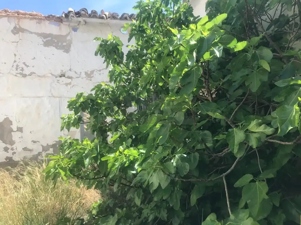 Wohnbaugrundstück zum Verkauf in Calle Juan Pablo II, imagen 6