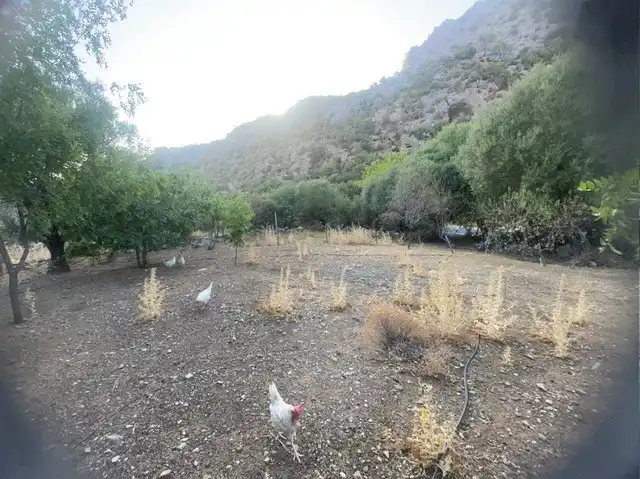 Terrain rustique à vendre à Lugar Tavizna, imagen 12