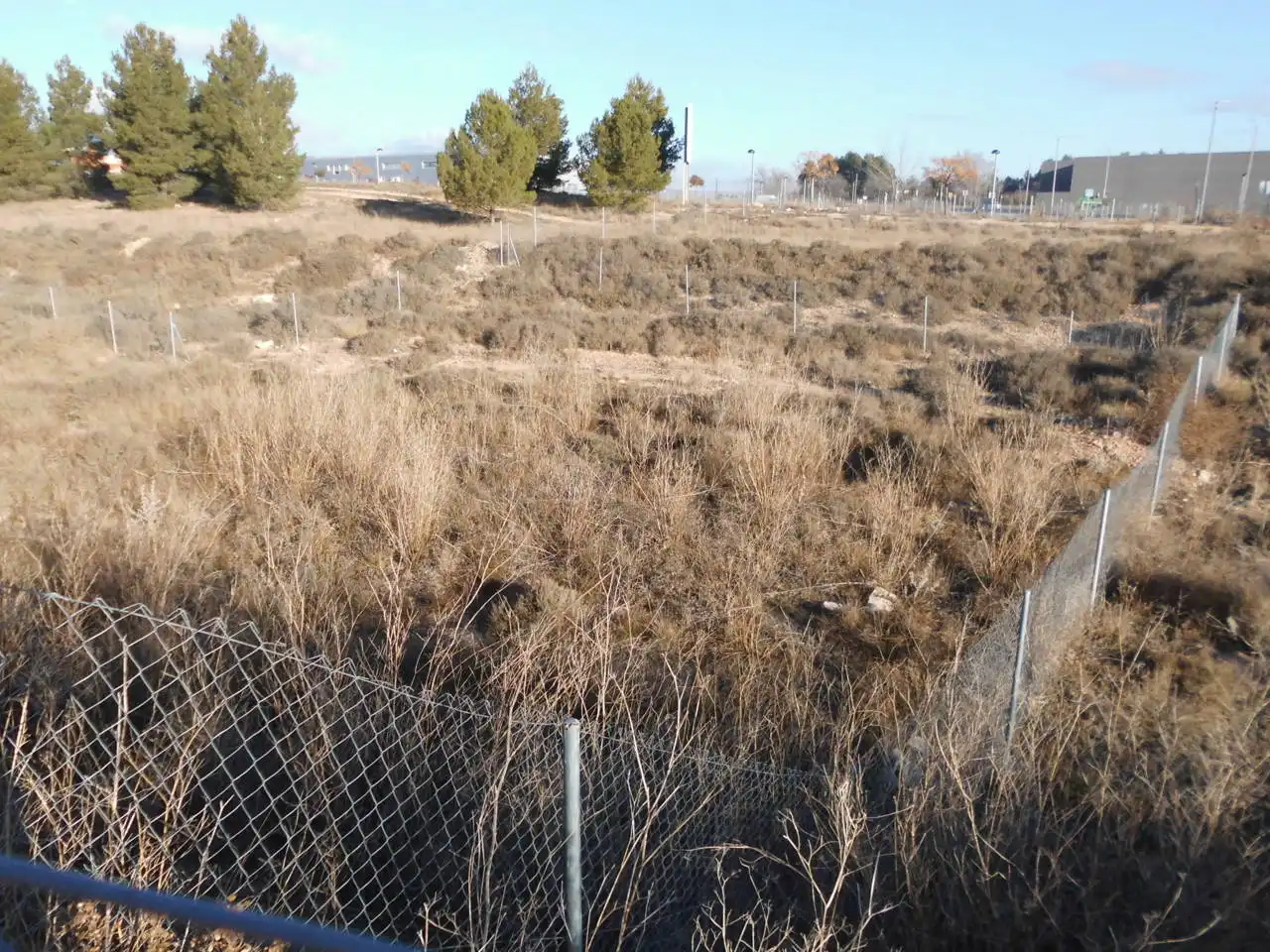 Residential land for sale in Almansa