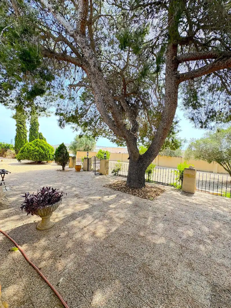 Chalet con piscina en venta en DISEMINADOS, imagen 68