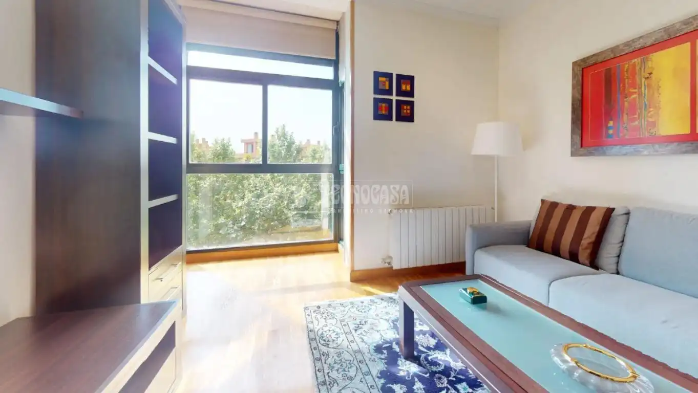 Living room of Flat for rent in Madrid  with Air Conditioner, Heating and Community pool