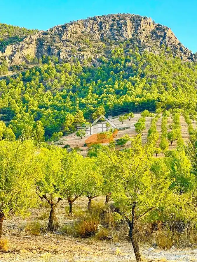 Country house for sale in Vélez-Rubio, imagen 5