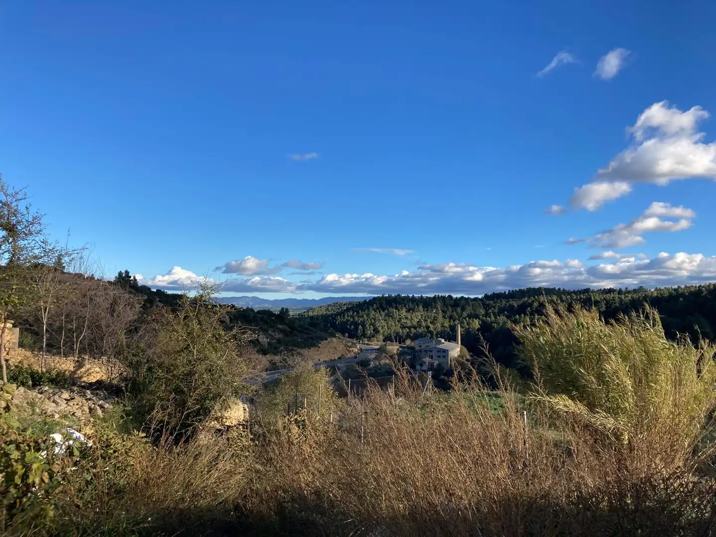 Terreni e lotti in vendita a Valjunquera, imagen 8