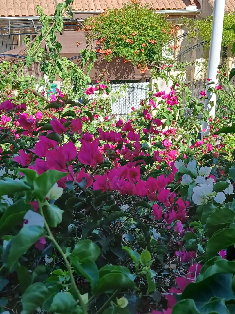 Xalet amb jardí en venda a Los Cuarteros, imagen 96