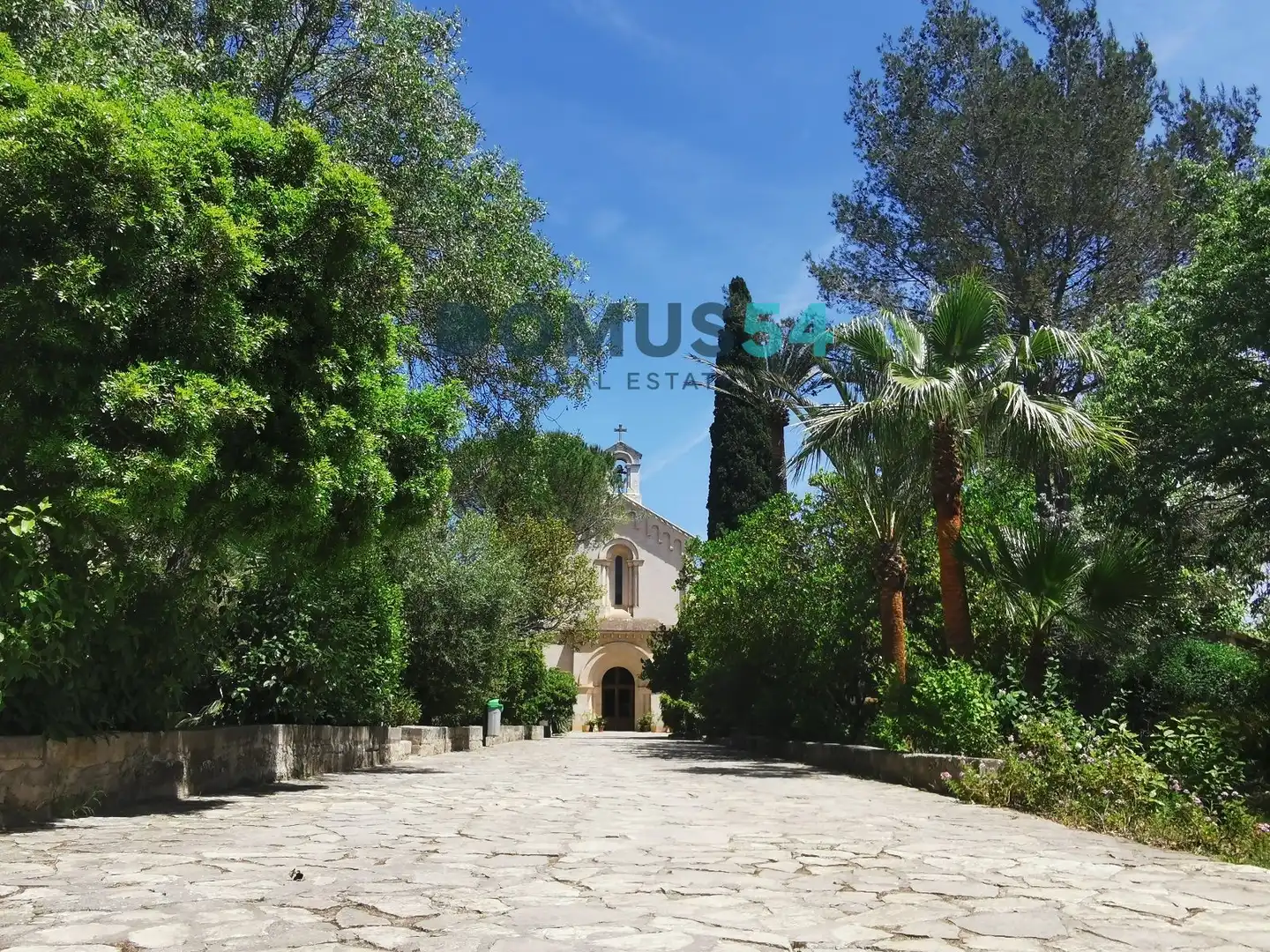 Rural land for sale in Sa Pobla, imagen 3