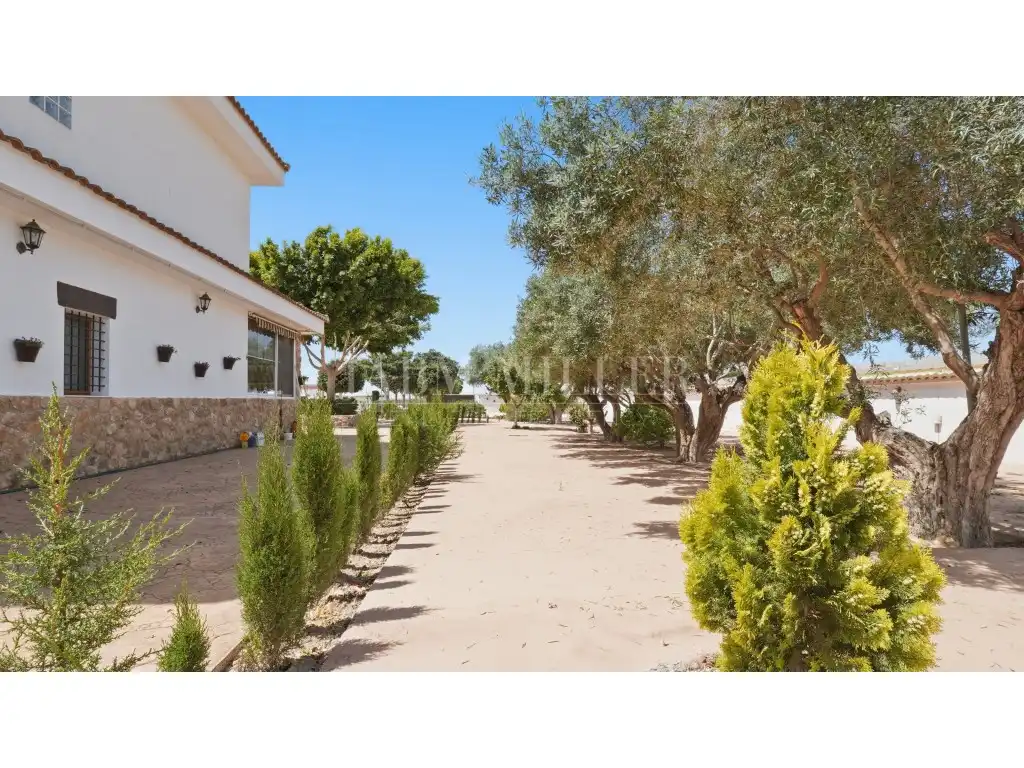 Maison avec jardin à vendre à Dolores, imagen 89