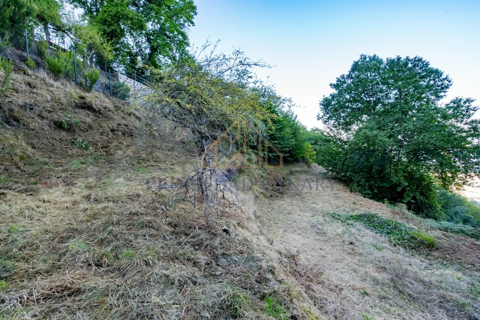 Terreno rustico in vendita a Camino la Candelaria 2A, imagen 15