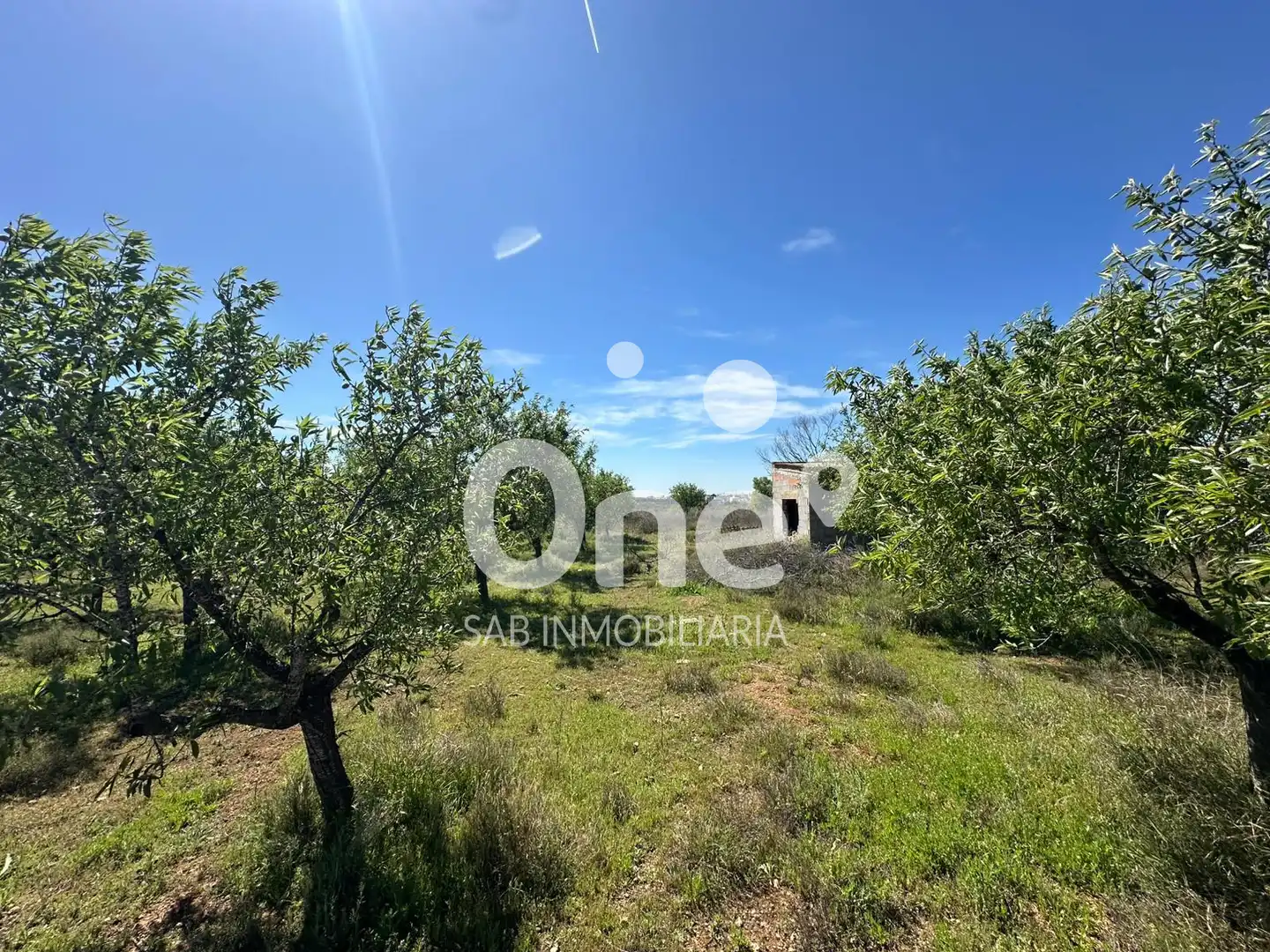 Terrain rustique à vendre à Diseminado-san Ant Benag 29, imagen 15