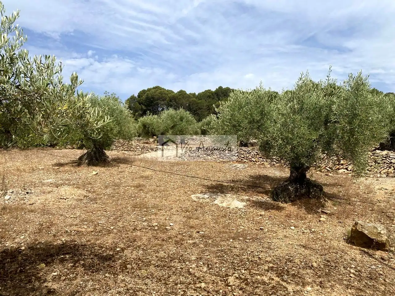 Finca rústica en venta en Vandellòs i l'Hospitalet de l'Infant con Terraza, Trastero y Piscina