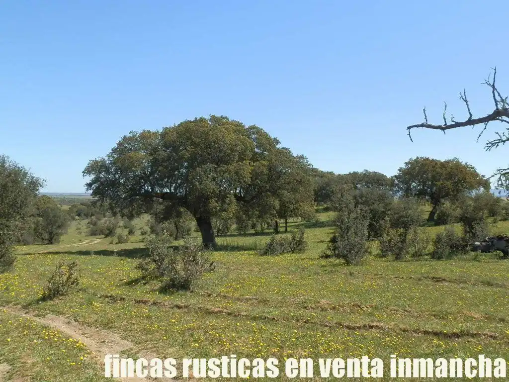 Terreno rustico in vendita a Ciudad Rodrigo, imagen 5