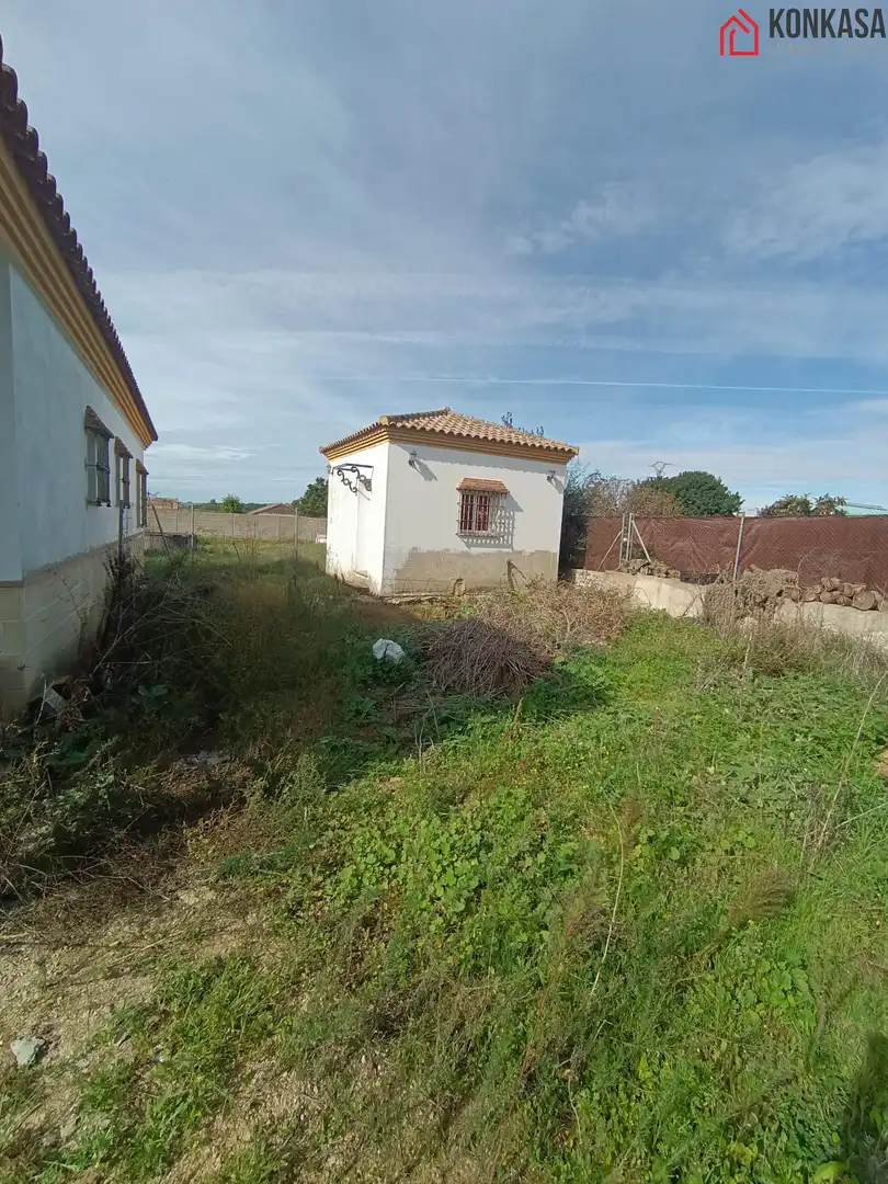Chalet en venta en Arcos de la Frontera, imagen 24