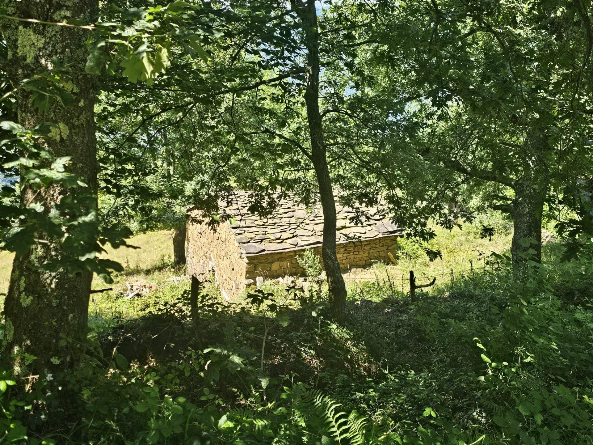 Finca rústica en venda en Aller amb Jardí privat