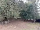 Country house with garden for sale in veinat sant marti 32, imagen 4